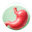 Gastroenterologist