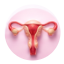 Gynecologist & Obstetrician