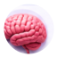 Neurosurgeon