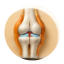 Orthopedic Surgeon